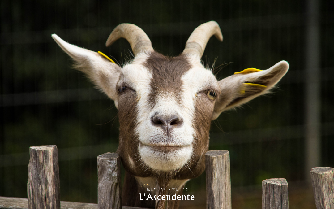 牡羊座新月〜12星座別ひと言メッセージ〜